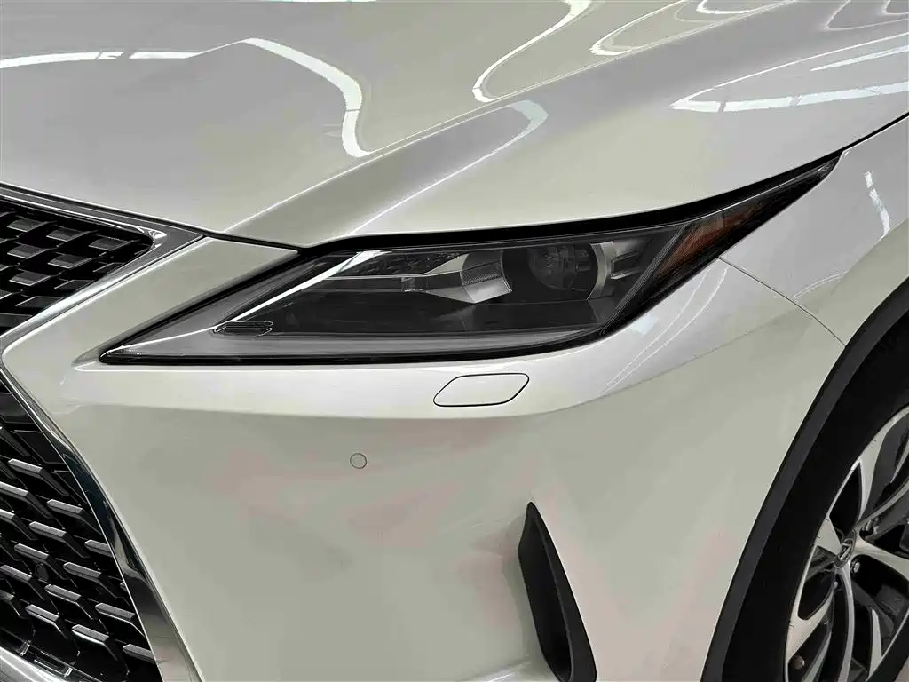 Lexus RX - фото 4