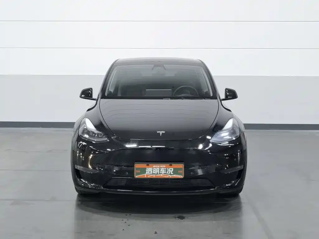 Tesla Model Y — миниатюра 3