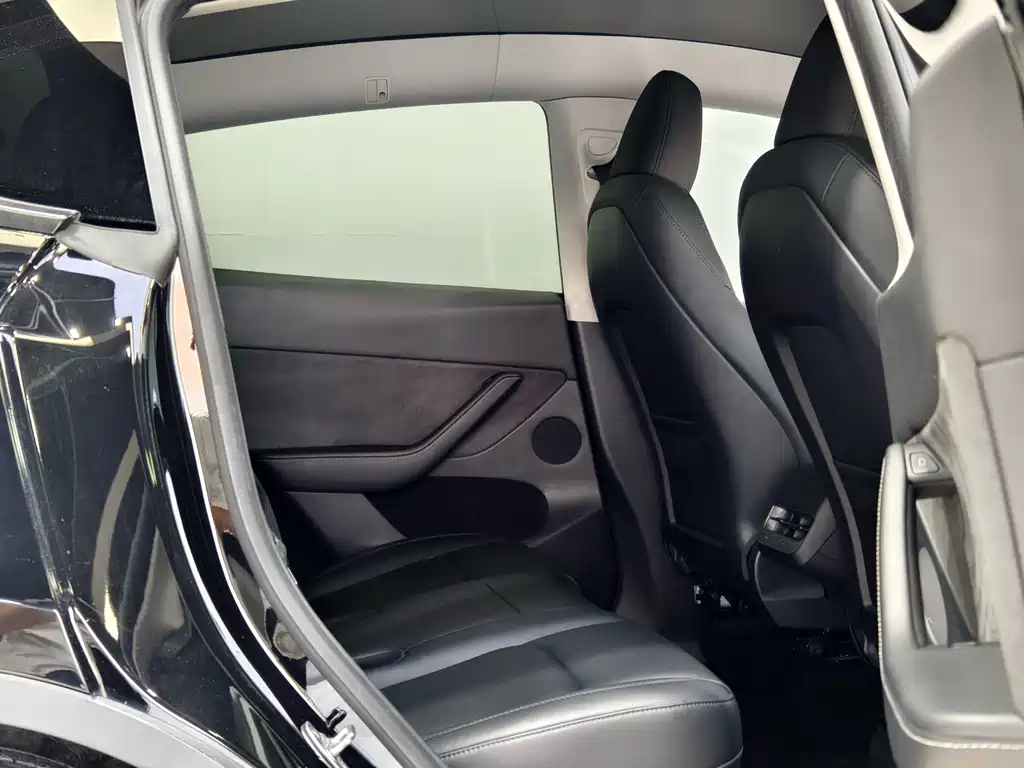 Tesla Model Y — миниатюра 12