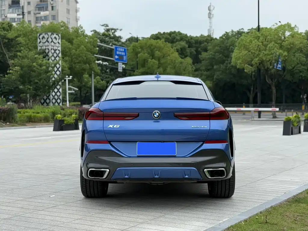 BMW X6 2020 xDrive40i M Sport