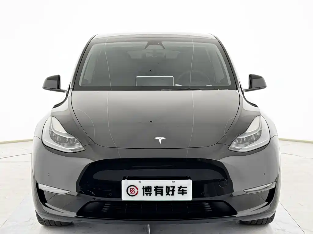Tesla Model Y — миниатюра 8