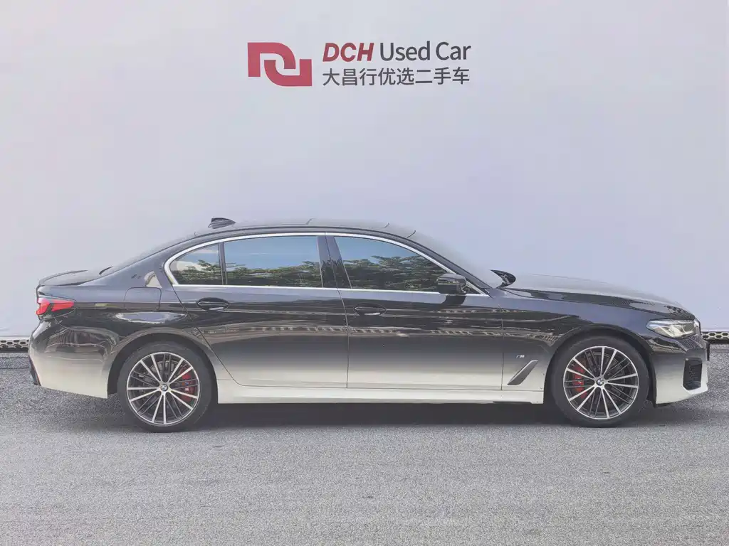 BMW 5 Series — миниатюра 3