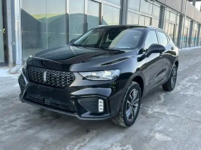 WEI PAI WEI BRAND VV5 2020