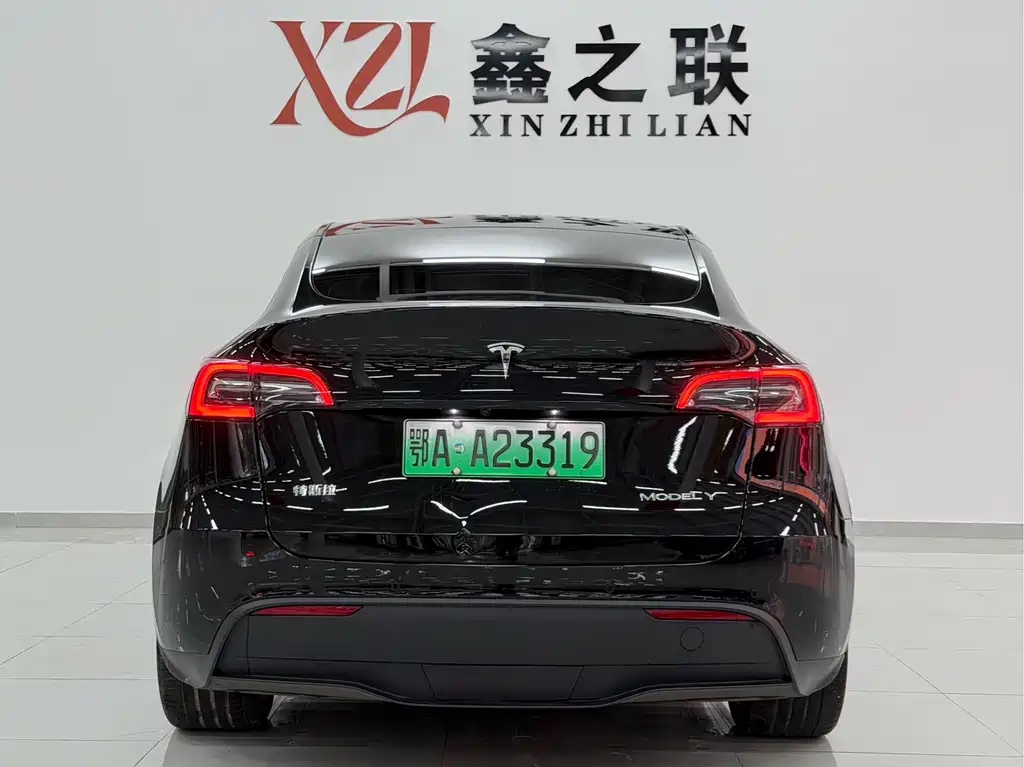 Tesla Model Y — миниатюра 6