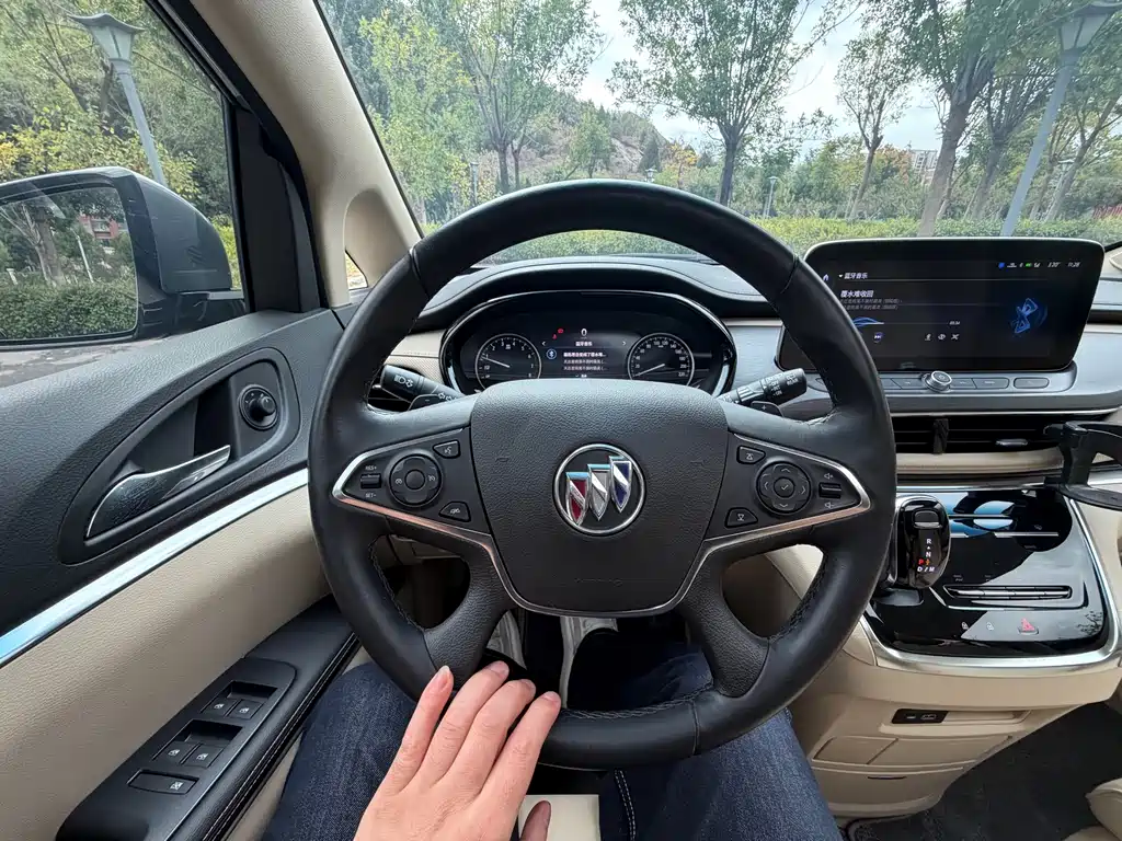 Buick GL8 — миниатюра 14