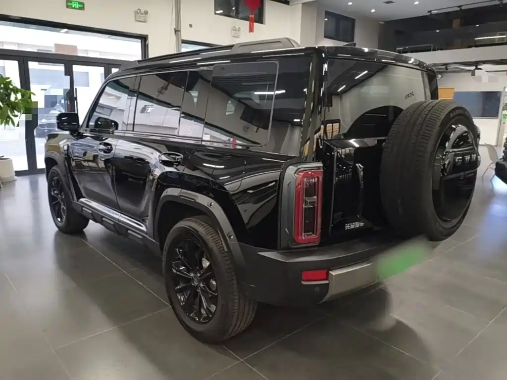 Haval Menglong New Energy — миниатюра 5
