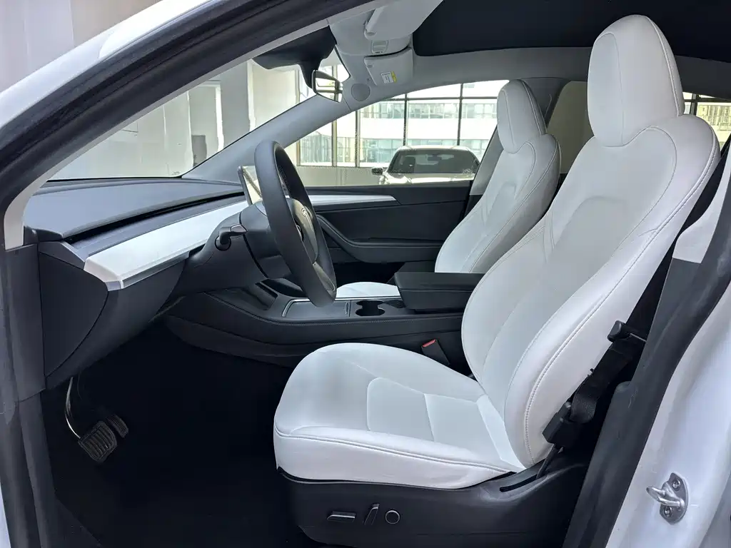 Tesla Model Y — миниатюра 10