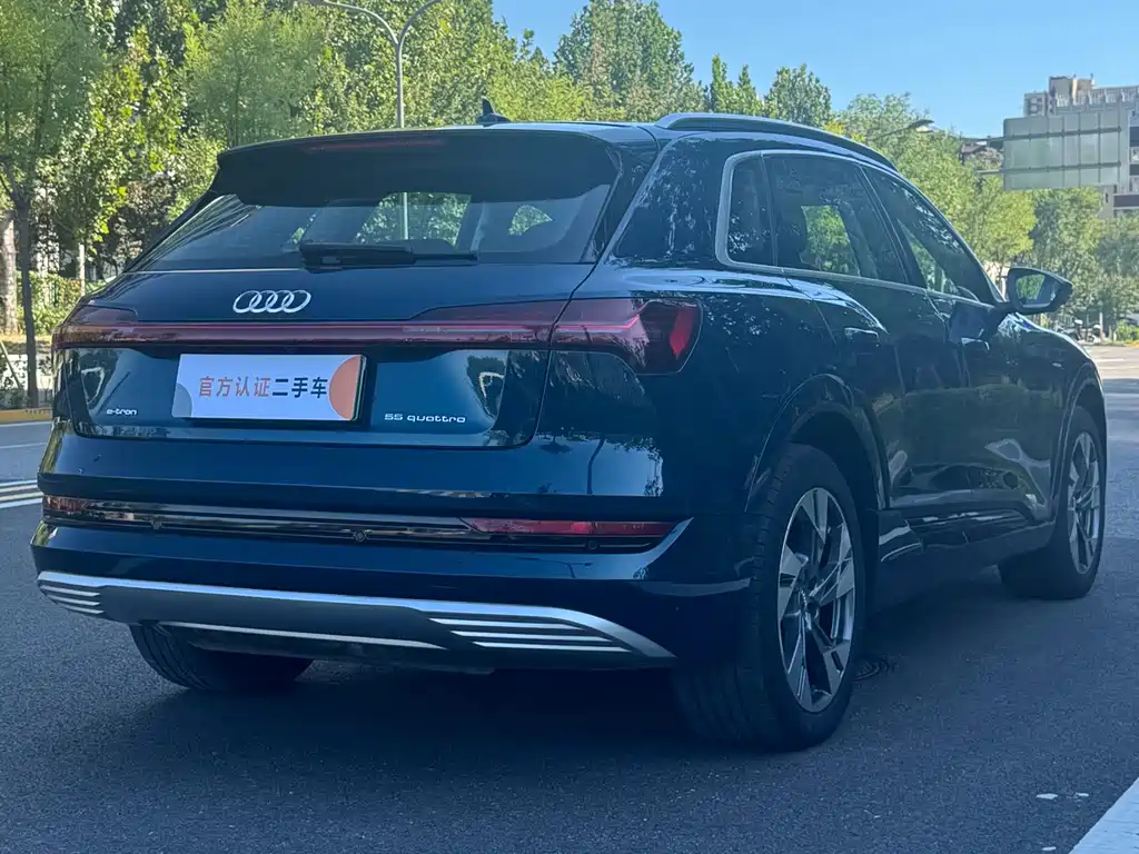 Audi e-tron (Import) — миниатюра 6