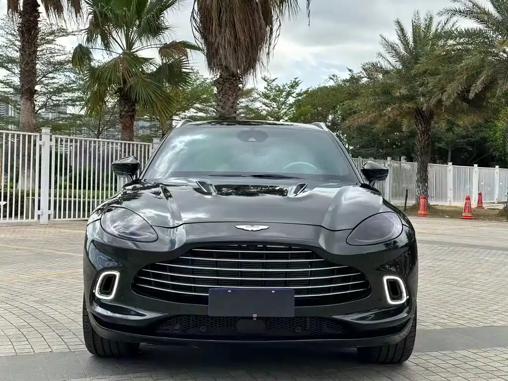 Aston Martin DBX — миниатюра 2