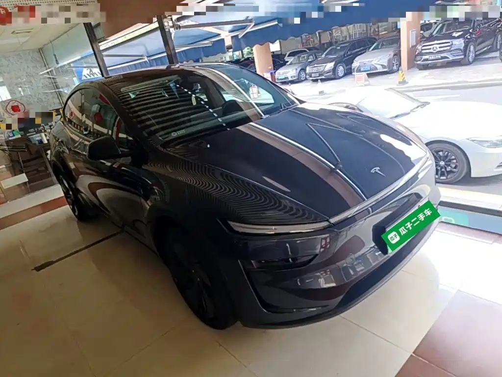 Tesla Model Y — миниатюра 4