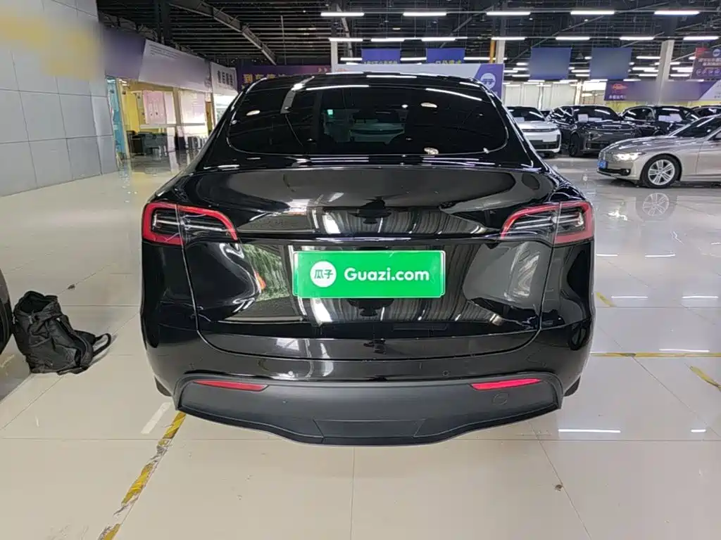 Tesla Model Y — миниатюра 6