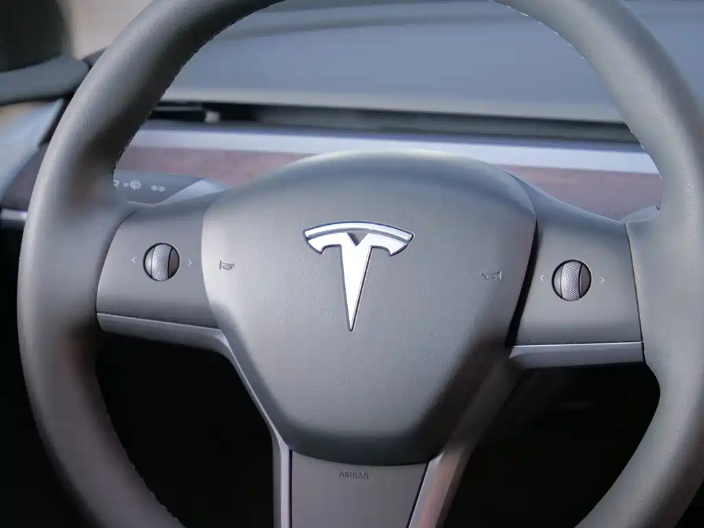 Tesla Model Y — миниатюра 14