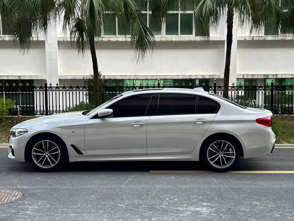 BMW 5 Series 5 2019 525Li M Sport