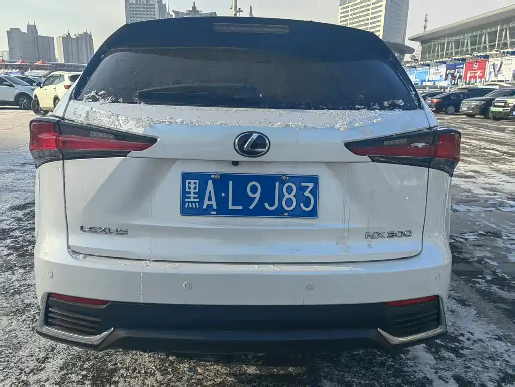 LEXUS NX
