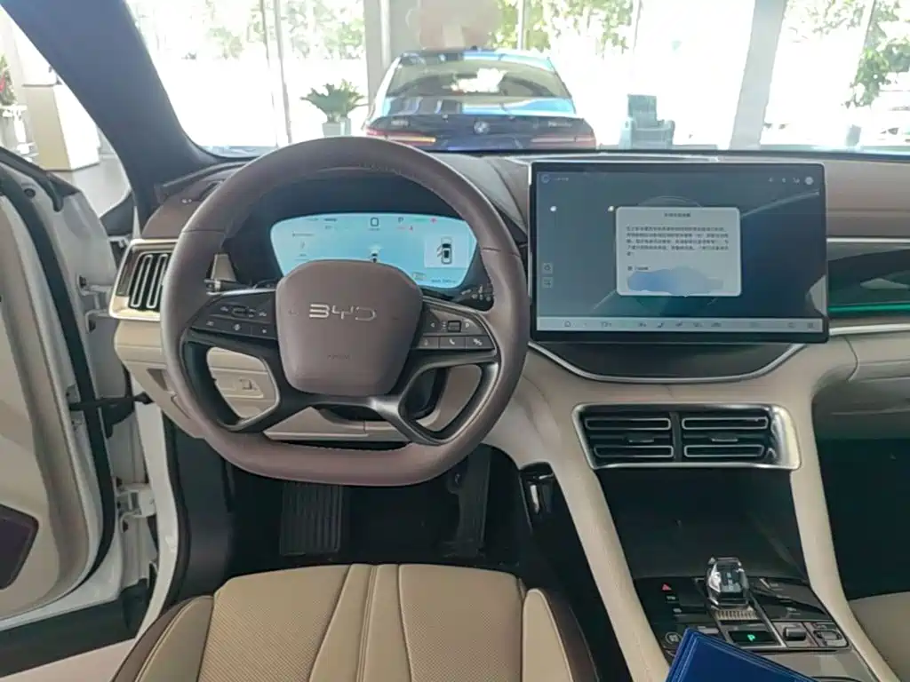 BYD PLUS New Energy — миниатюра 11