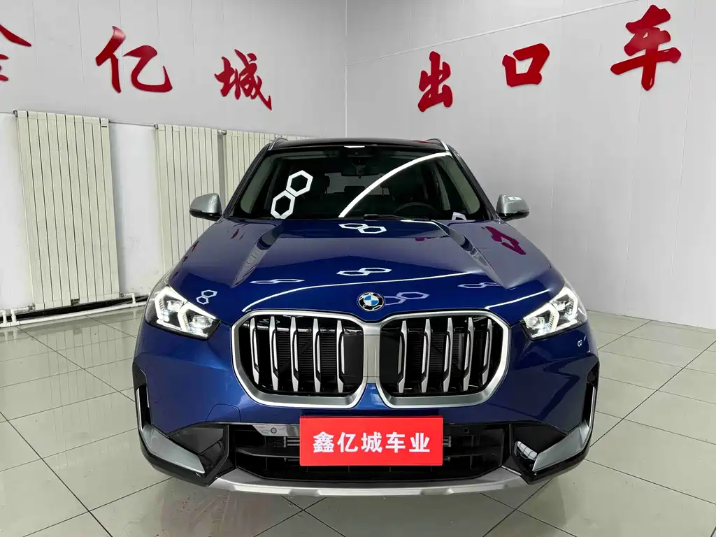 BMW X1 — миниатюра 2