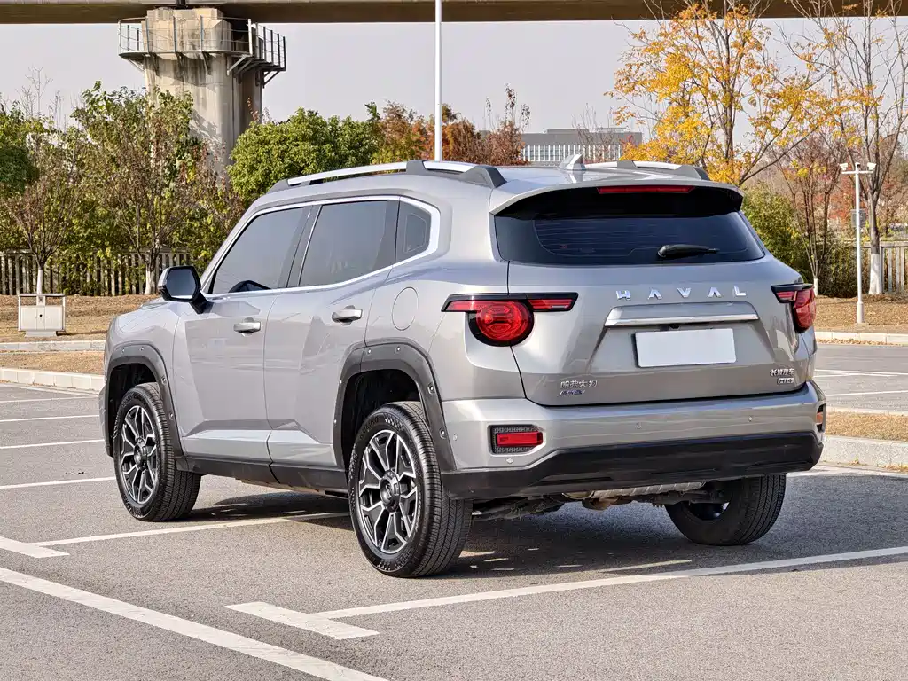 HAVAL SECOND GENERATION BIG DOG NEW ENERGY