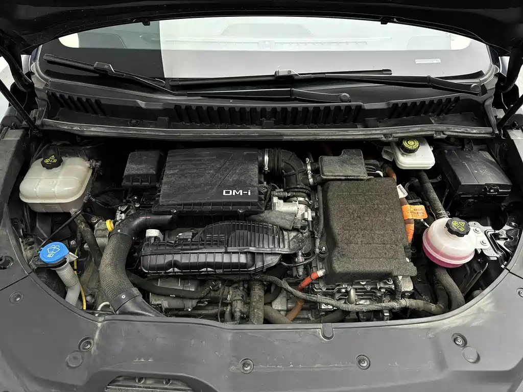 BYD SONGJIANG NEW ENERGY