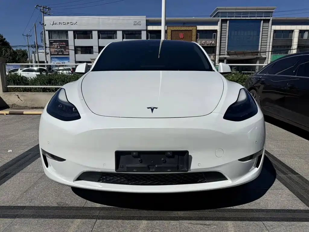 Tesla Model Y — миниатюра 2