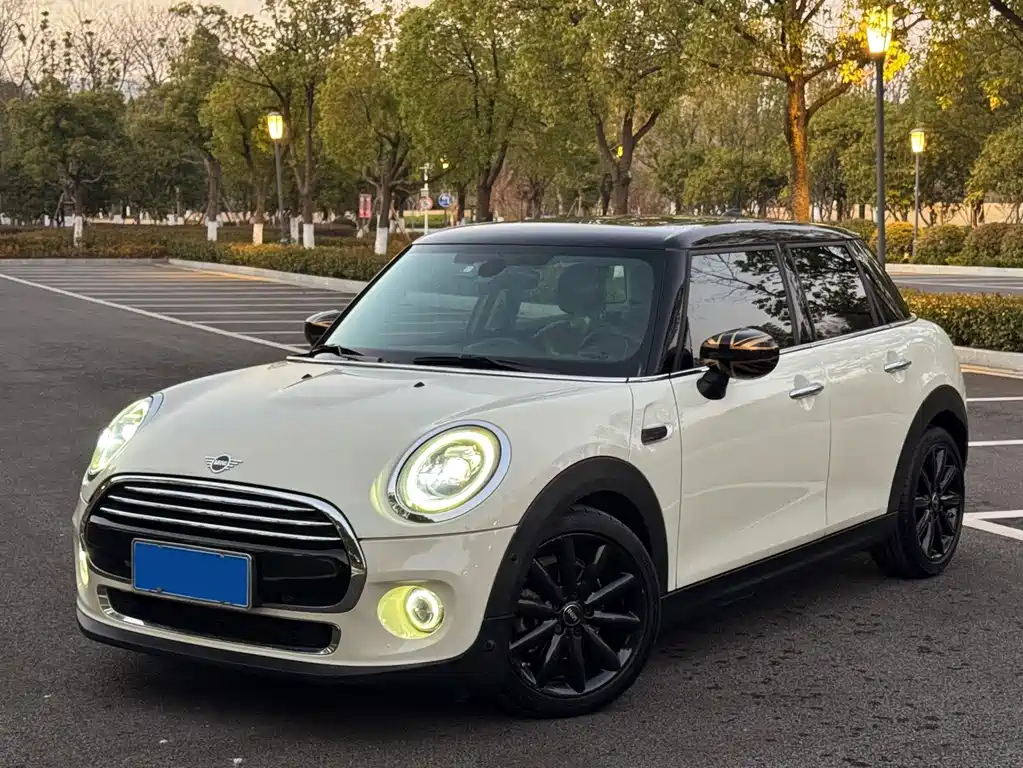 Mini Mini 2020