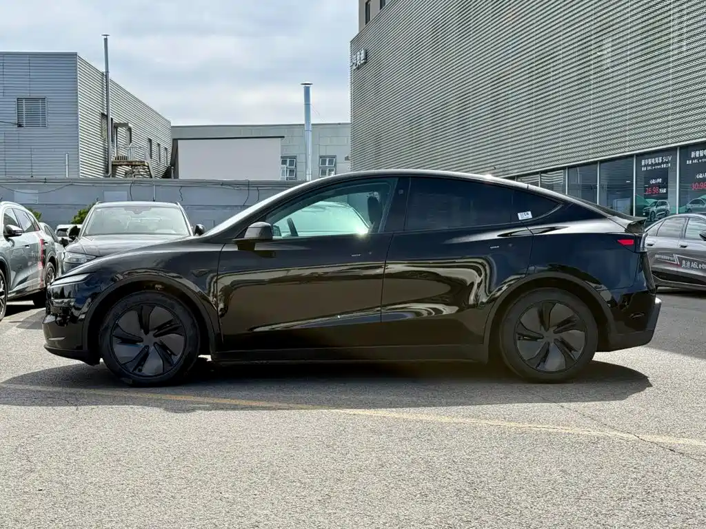 Tesla Model Y — миниатюра 2