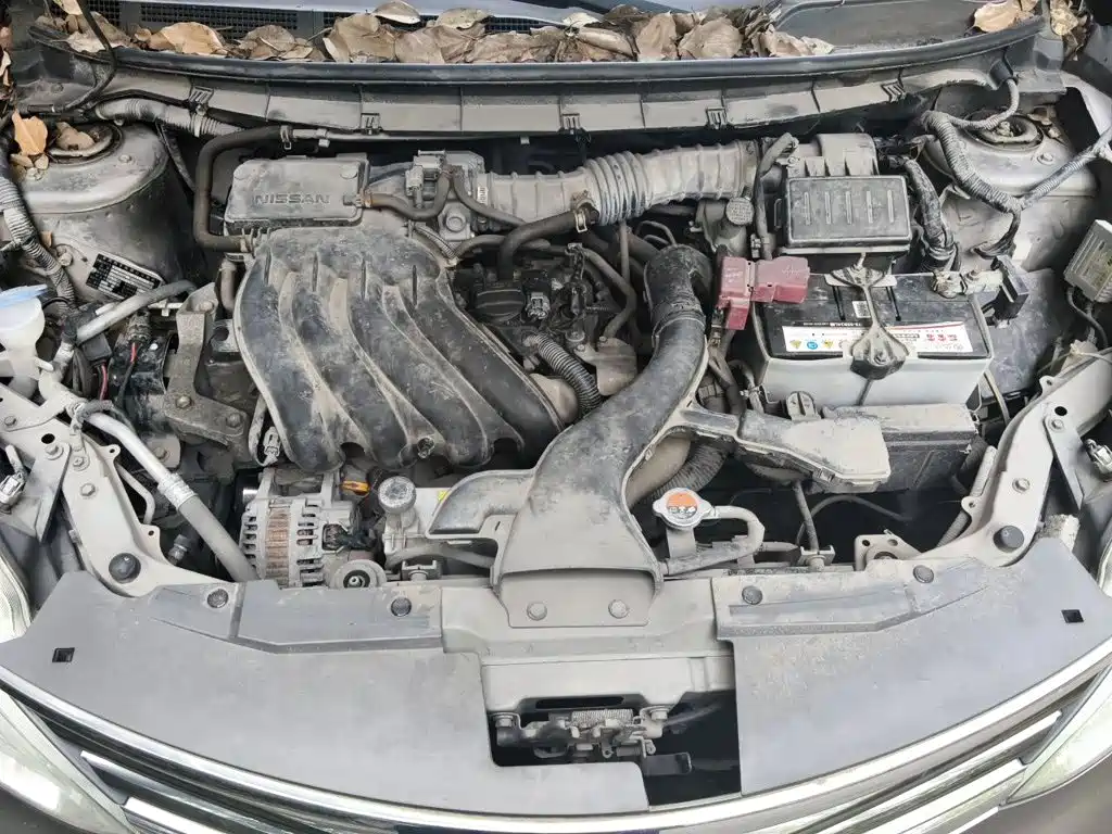 Nissan Livina — миниатюра 11