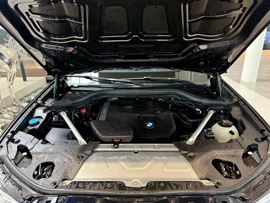 BMW X3 — миниатюра 8