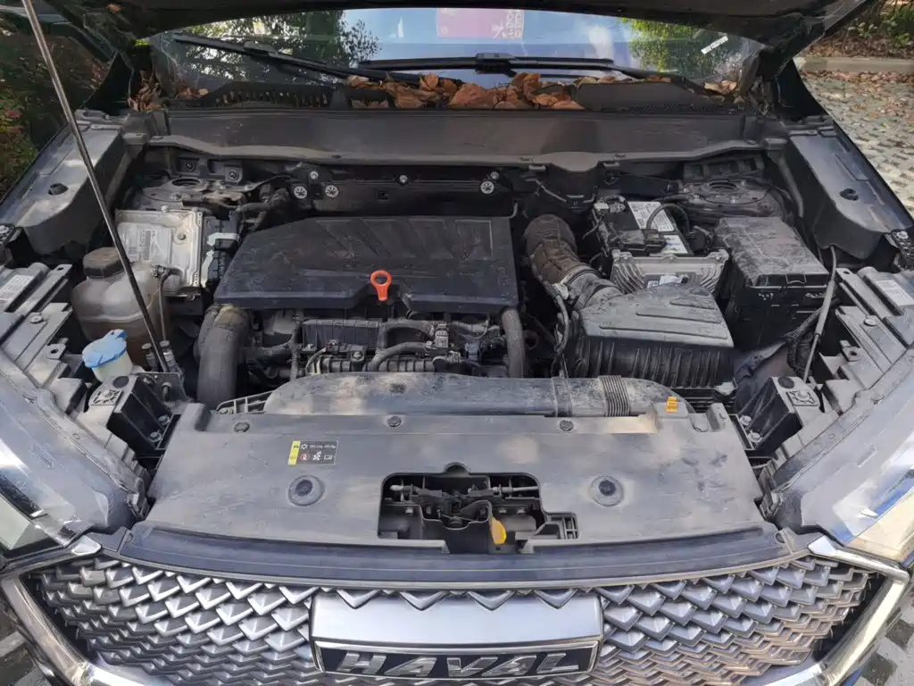 Haval H6 — миниатюра 11