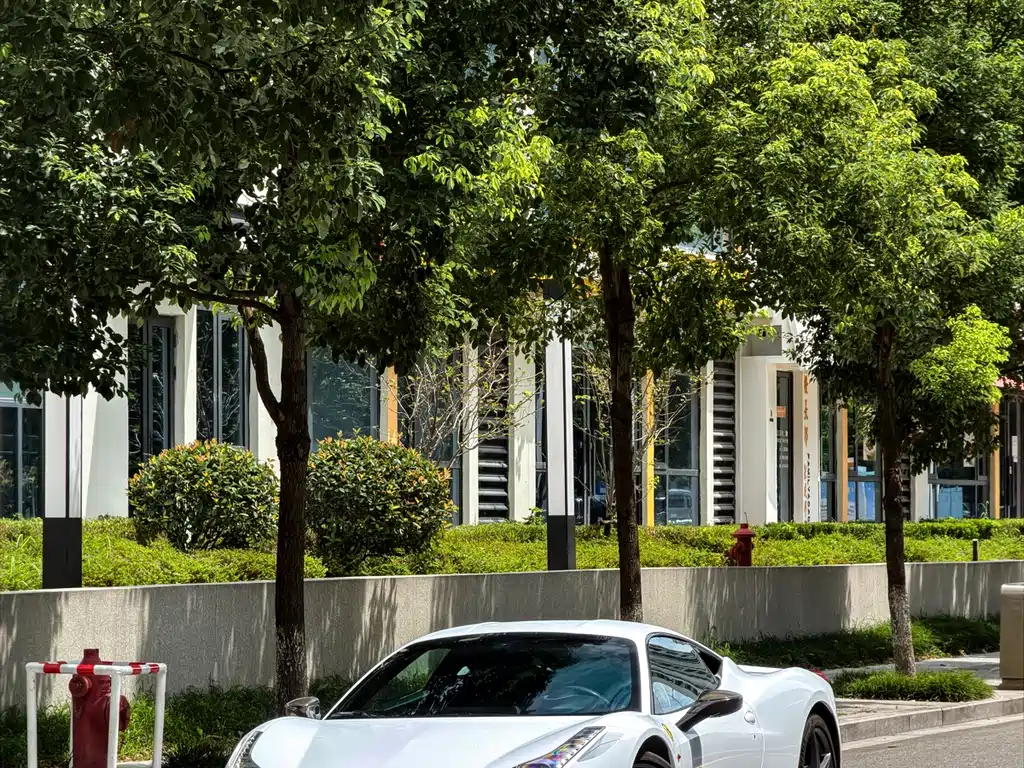 Ferrari 458 — миниатюра 17
