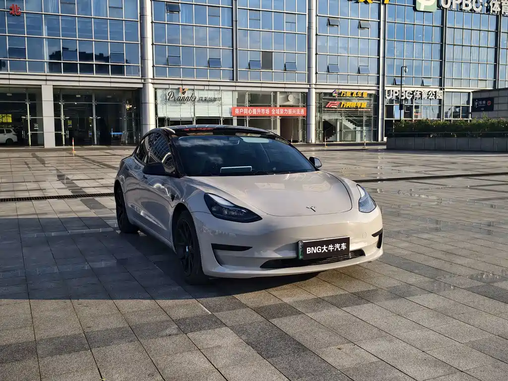 Tesla Model 3 — миниатюра 3