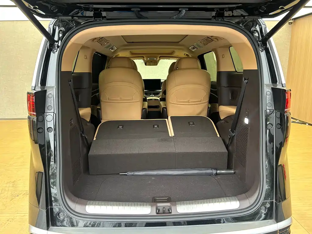 Denza Denza D9 — миниатюра 13