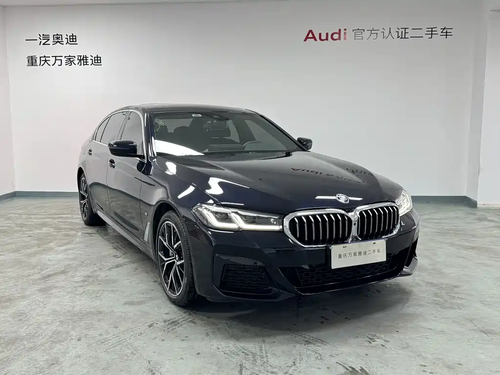 BMW 5 Series — миниатюра 2