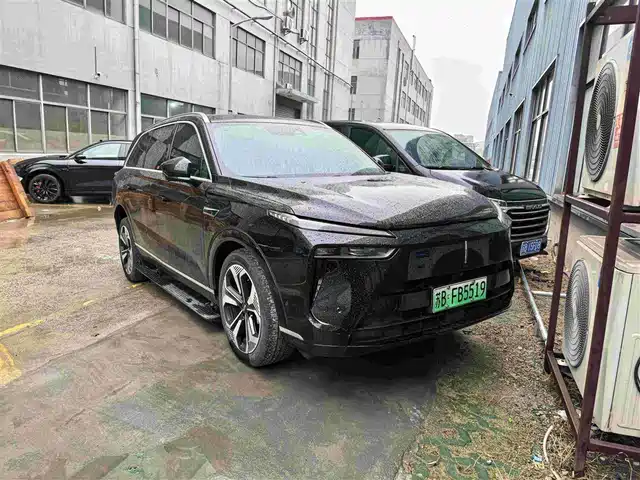 WEI PAI WEI BRAND BLUE MOUNTAIN 2024