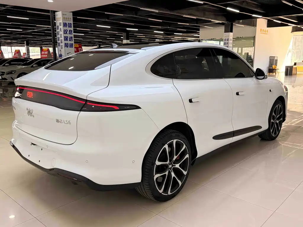 IM IM LS6 — миниатюра 11