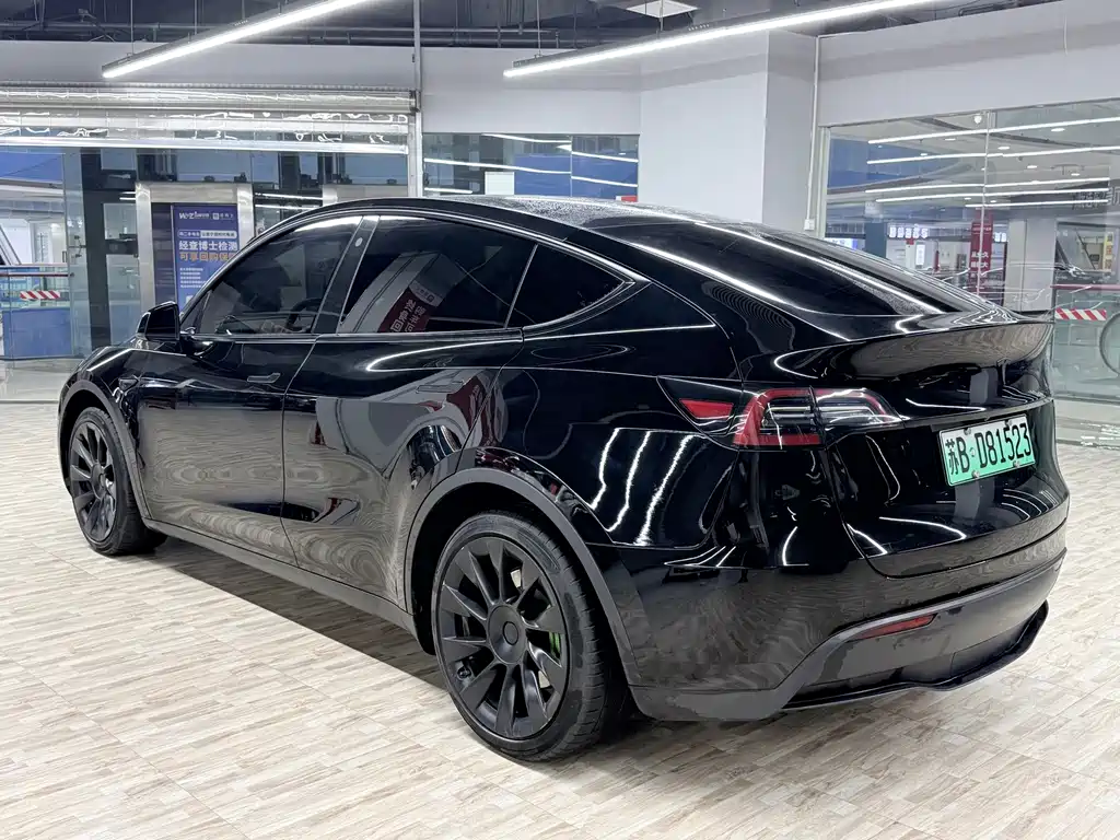 Tesla Model Y — миниатюра 3