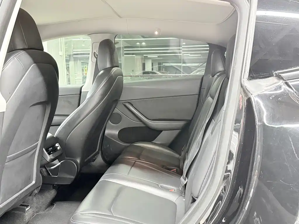 Tesla Model Y — миниатюра 6