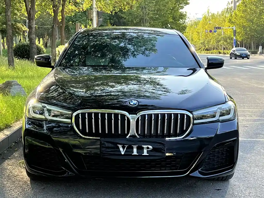 BMW  5 SERIES NEW ENERGY