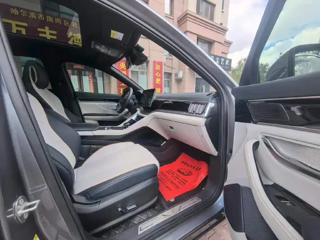 BYD PLUS New Energy — миниатюра 4