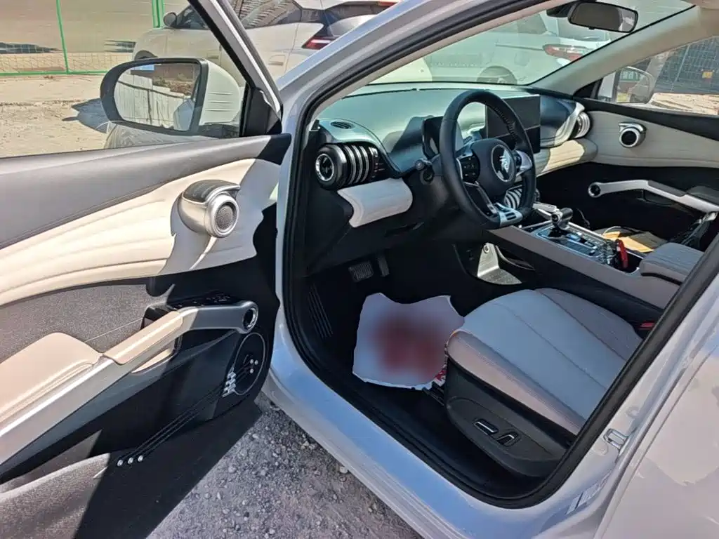 BYD Yuan Plus — миниатюра 16