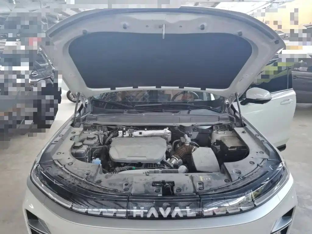 Haval Xiaolong MAX — миниатюра 20
