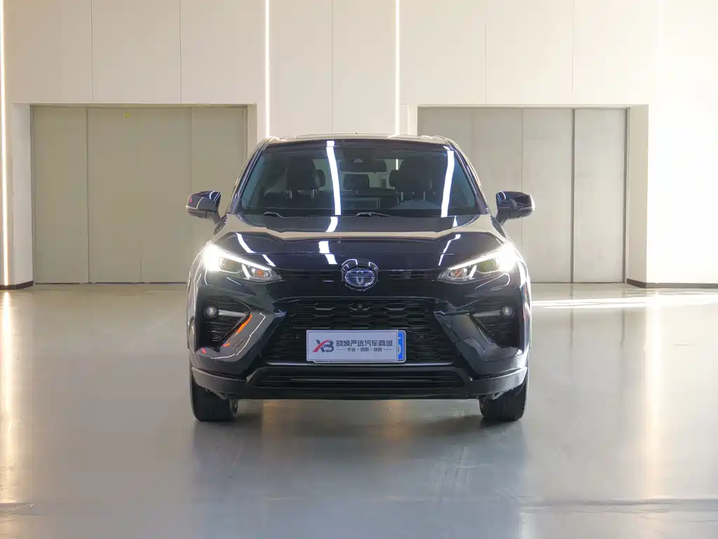 Toyota Wildlander — миниатюра 2