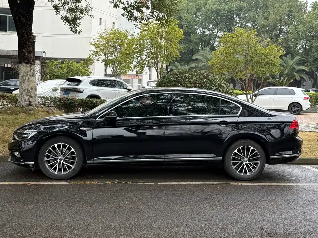 Volkswagen Magotan 2020 330TSI DSG Luxury