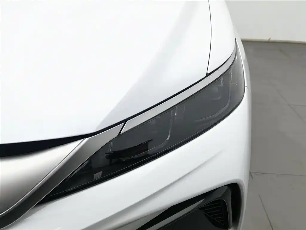 BYD SONGJIANG NEW ENERGY