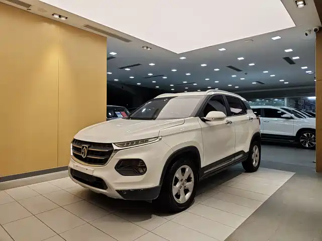 BAOJUN  510 2017