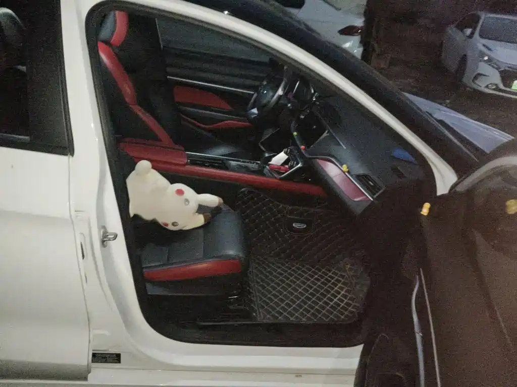 Geely Binrui — миниатюра 18