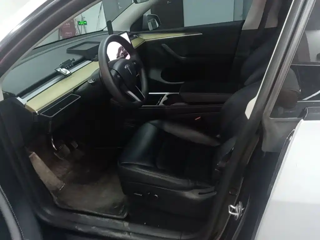 Tesla Model Y — миниатюра 15