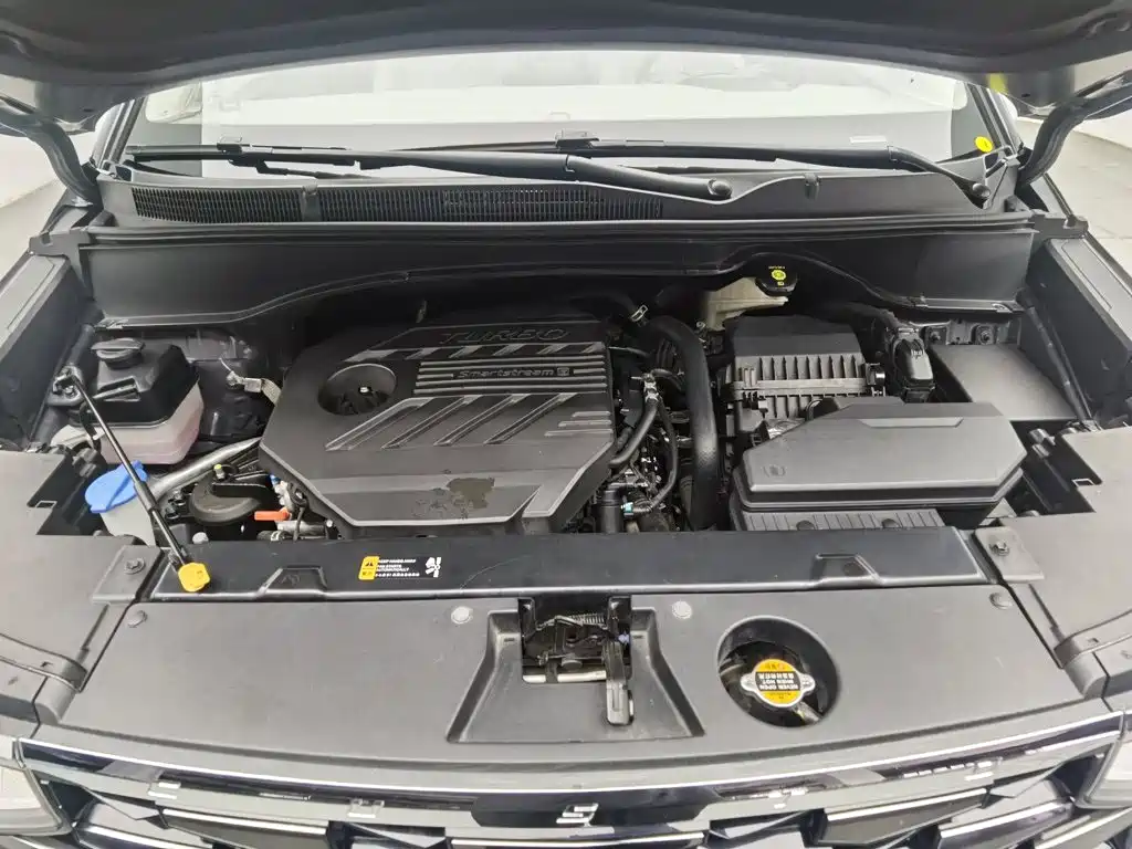 Hyundai Custo — миниатюра 6