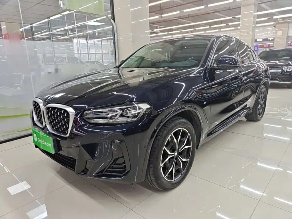 BMW X4 — миниатюра 2