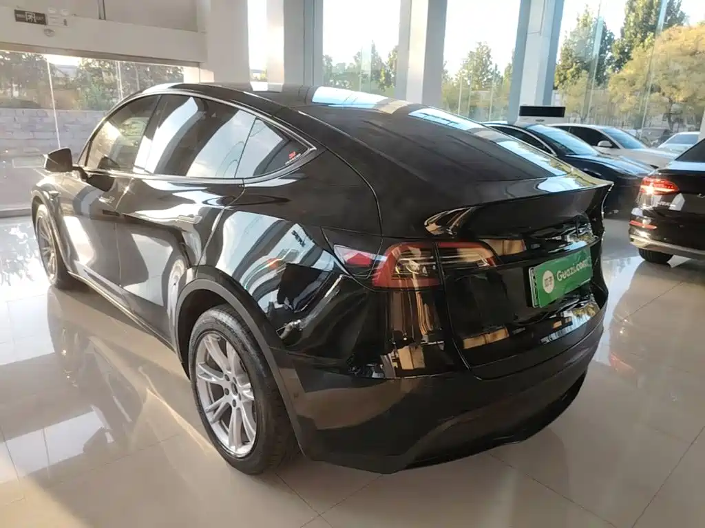Tesla Model Y — миниатюра 5