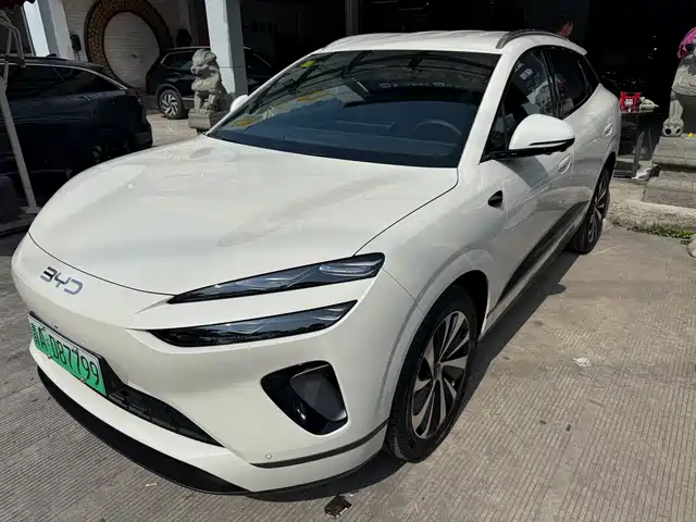 BYD SEA LION 06 NEW ENERGY 2025